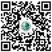 沿途网络
